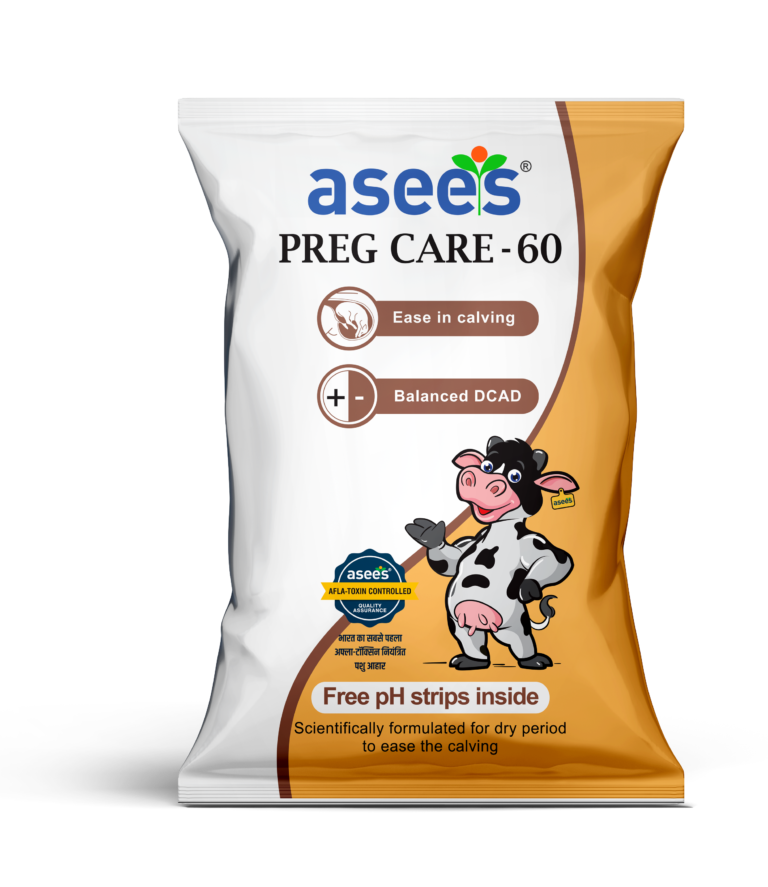 Store in Cool And Dry Place Asees Feed MILKSURE 30, Packaging Type: Plastic  Sack Bag, 50 KG at Rs 1550/tonne in Sri Ganganagar