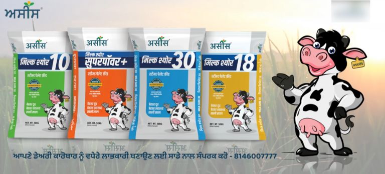 Store in Cool And Dry Place Asees Feed MILKSURE 30, Packaging Type: Plastic  Sack Bag, 50 KG at Rs 1550/tonne in Sri Ganganagar