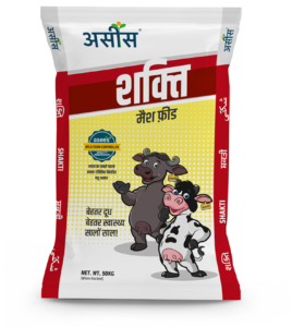 Asees Shakti